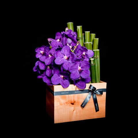 Amazing Vanda Orchids in a Custom Container