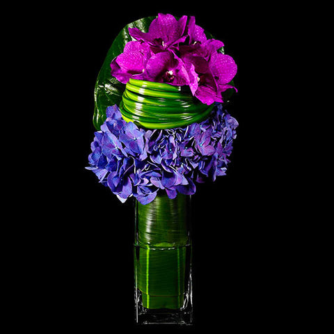 Colorful Hydrangea and Magenta Orchid Arrangement